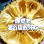 怀孕可以吃菠萝吗,孕期能吃菠萝蜜不