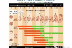孕期准妈妈（孕期准妈妈药物代谢特点）