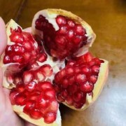 石榴对胎儿（石榴对胎儿的功效与作用）