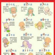 别人夸你宝宝可爱该怎么回答呢,可爱的胎儿宝宝发育过程视频