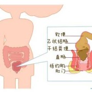 孕期便秘原因（孕期便秘原因有哪些）