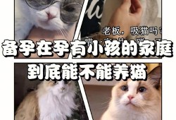 怀孕期间可以养猫和狗吗,备孕和怀孕期间能养猫吗