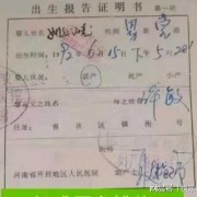 胎儿血型（出生证上会写宝宝的血型吗）