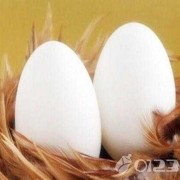 孕期鹅蛋什么时候吃（怀孕了，为什么要吃鹅蛋呢？孕妇要从几个月开始吃鹅蛋，为什么）