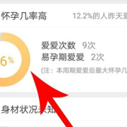 美袖孕期（美袖孕期准吗）