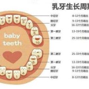 孩子有两周岁了牙齿只有12颗正常吗,胎儿正常心率是多少正常