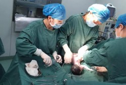 孕妇撞到肚子怎么办,胎儿头部受到撞击
