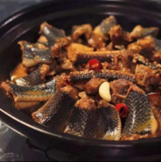 孕期可以吃蛇肉吗（孕期可以吃蛇肉吗）