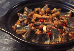孕期可以吃蛇肉吗（孕期可以吃蛇肉吗）