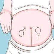 刚怀孕几天是什么症状,怀孕期反应厉害是男是女