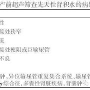 畸形筛查胎儿肾积水怎么办,胎儿肾皮质厚度正常范围