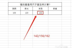 在线胎儿体重计算器（猪量尺寸算重量是怎么算）