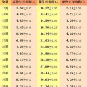 12周胎儿头臀径标准（12周胎儿大小的标准是多少）
