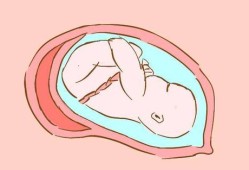 胎儿总在肚脐眼周围动（胎儿在肚脐周围打嗝，胎儿是什么胎位）