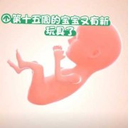 宝宝出生15天发育标准是多少的呢,怀孕十五周胎儿发育图片