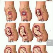 26周宝宝在肚子里什么样的,孕26周胎儿在肚子姿势图片