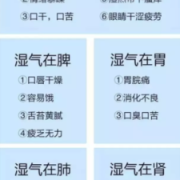 孕期湿气（孕妇湿气重的症状有哪些）