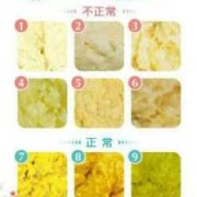 8个月宝宝大便正常颜色是什么样的,8个月胎儿图片的样子