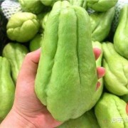 孕期可以吃佛手瓜吗（佛手瓜的心能吃吗）