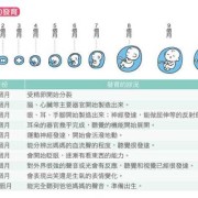 怎么发现胎动异常,怎样辨别胎儿胎动异常的原因