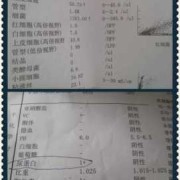 孕期尿蛋白一个加号（从怀孕33周到38周一直尿蛋白1+）