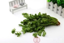 产妇坐月子能吃香菜吗？顺产后五天了，适合吃哪些菜好呢,孕期吃香菜有什么危害吗