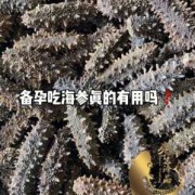 孕期能不能吃海参（怀孕期间能吃海参吗？我看同事买了好多海参，这么补可以吃的吗）
