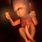 怀孕四个月胎儿图（怀孕几个月后胎儿在动？孕四个月会有胎动吗）