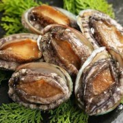 孕期能吃鲍鱼（孕期能吃鲍鱼嘛）