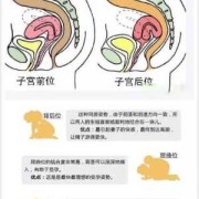 孕期性生活的姿势（孕36周胎儿在子宫姿势是怎样的？快足月了，怎样产检合适呢）