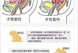 孕期性生活的姿势（孕36周胎儿在子宫姿势是怎样的？快足月了，怎样产检合适呢）