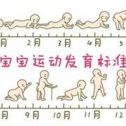 婴儿匍匐爬怎么过渡跪爬,孕期跪趴好处