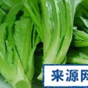 孕妇吃油菜对胎儿好吗（孕妇吃油菜对胎儿好吗有影响吗）