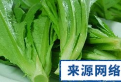 孕妇吃油菜对胎儿好吗（孕妇吃油菜对胎儿好吗有影响吗）