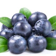 孕期可以吃蓝莓吗（孕期可以吃蓝莓吗早期）