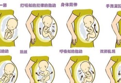 怀孕34周宝宝突然一直动是什么原因,胎儿突然动的厉害怎么回事
