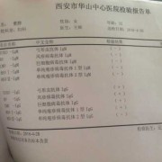 孕期病毒检测（孕期病毒检测是什么意思）