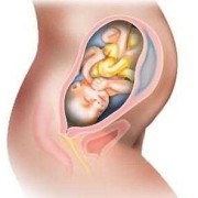 怀孕34周胎儿图片（怀孕34周胎儿图片真人）