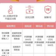 怀孕应该上什么医保,怀孕期间买什么保险可以报销