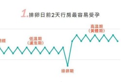 怀上女孩有几个状态,孕期会排卵吗?