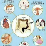 孕期便秘的原因（孕期便秘的原因有哪些）
