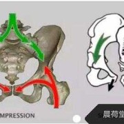 孕期阴阳腿（孕期阴阳腿是什么原因）