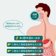 孕期少量酒（孕期少量酒精会怎么样）