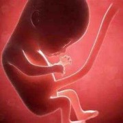 6个月女胎儿图（六个月大婴儿异常兴奋的是怎么回事呢）