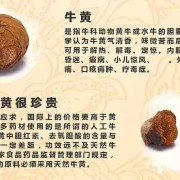 牛黄对胎儿的影响（牛黄对胎儿有影响吗）
