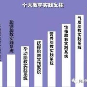 胎儿的教育（胎儿的教育包括哪些内容）