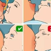 一月的胎儿（一月宝宝如何喂奶）