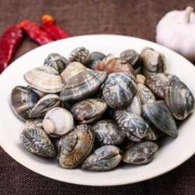 怀孕能不能吃花甲,怀孕期间能吃花甲吗?