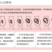 辐射对怀孕的人有多大的影响,胎儿 辐射