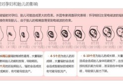 辐射对怀孕的人有多大的影响,胎儿 辐射